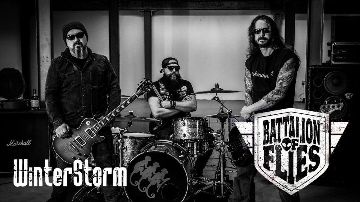 Battalion of flies.jpg